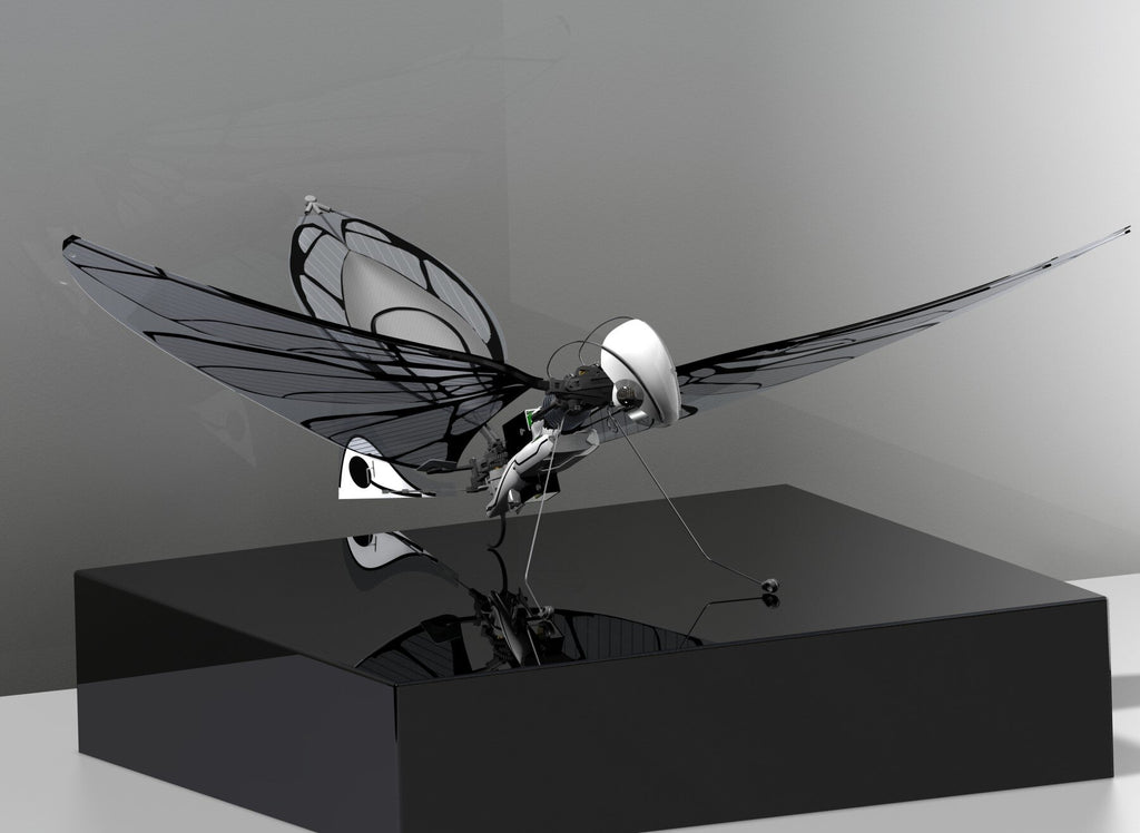 MetaFly