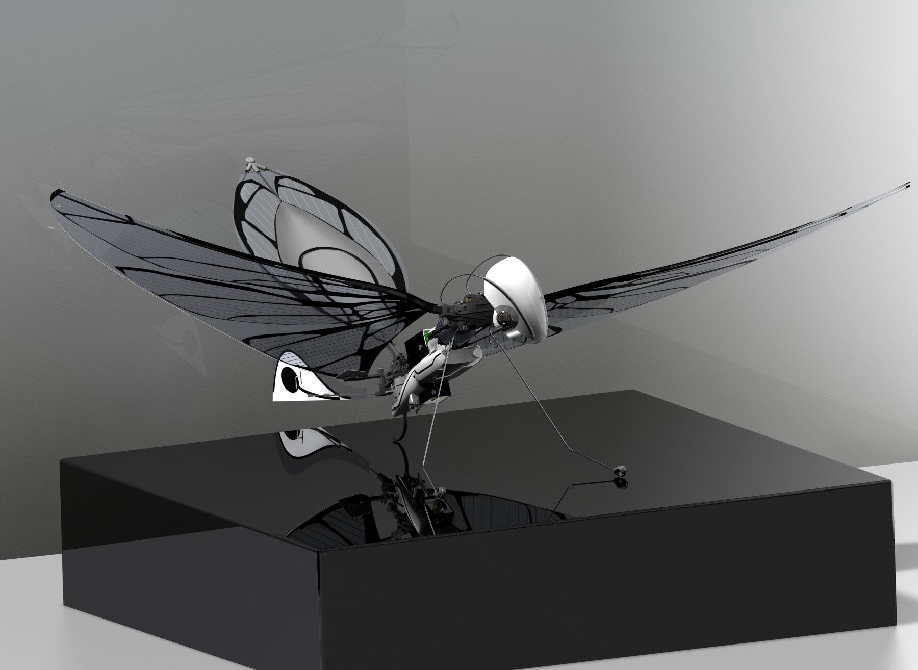 MetaFly