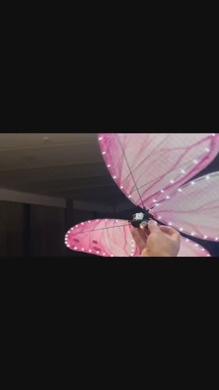 Bionic butterfly aircraft