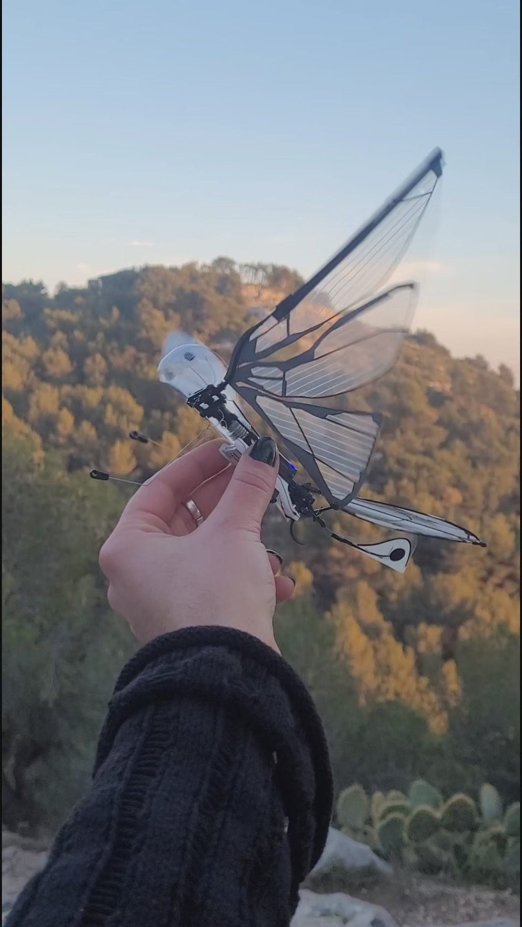 MetaFly