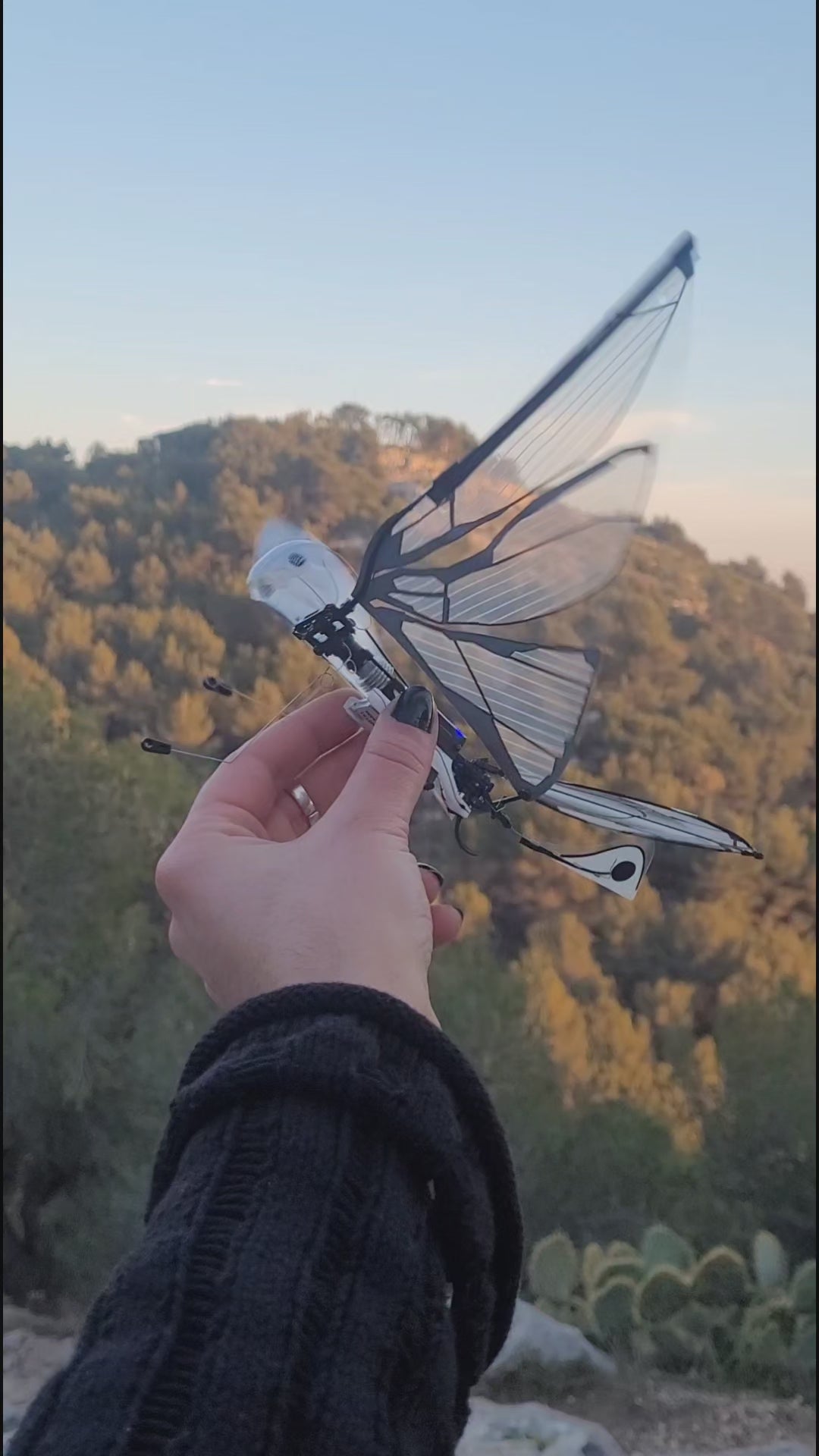 MetaFly