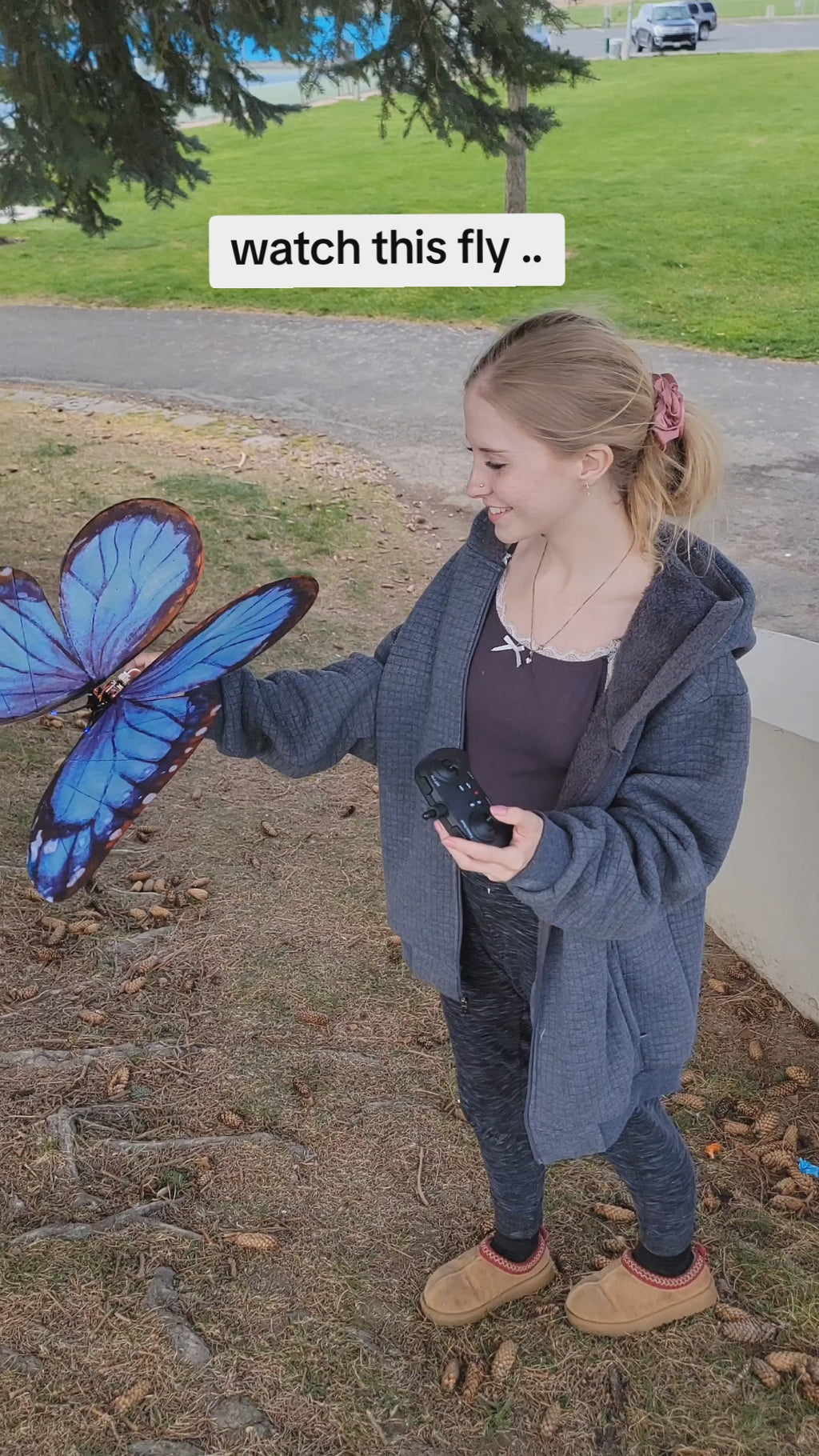 Bionic butterfly aircraft