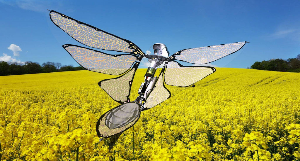 MetaFly